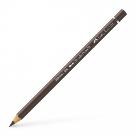 Albrecht Dürer Watercolour pencil burnt umber